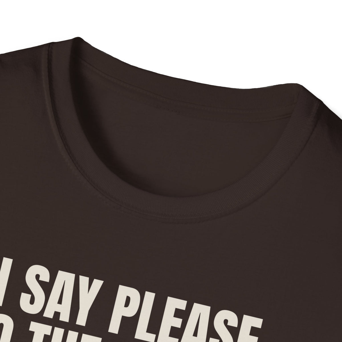I Say Please To The Robots t-shirt, funny AI gift