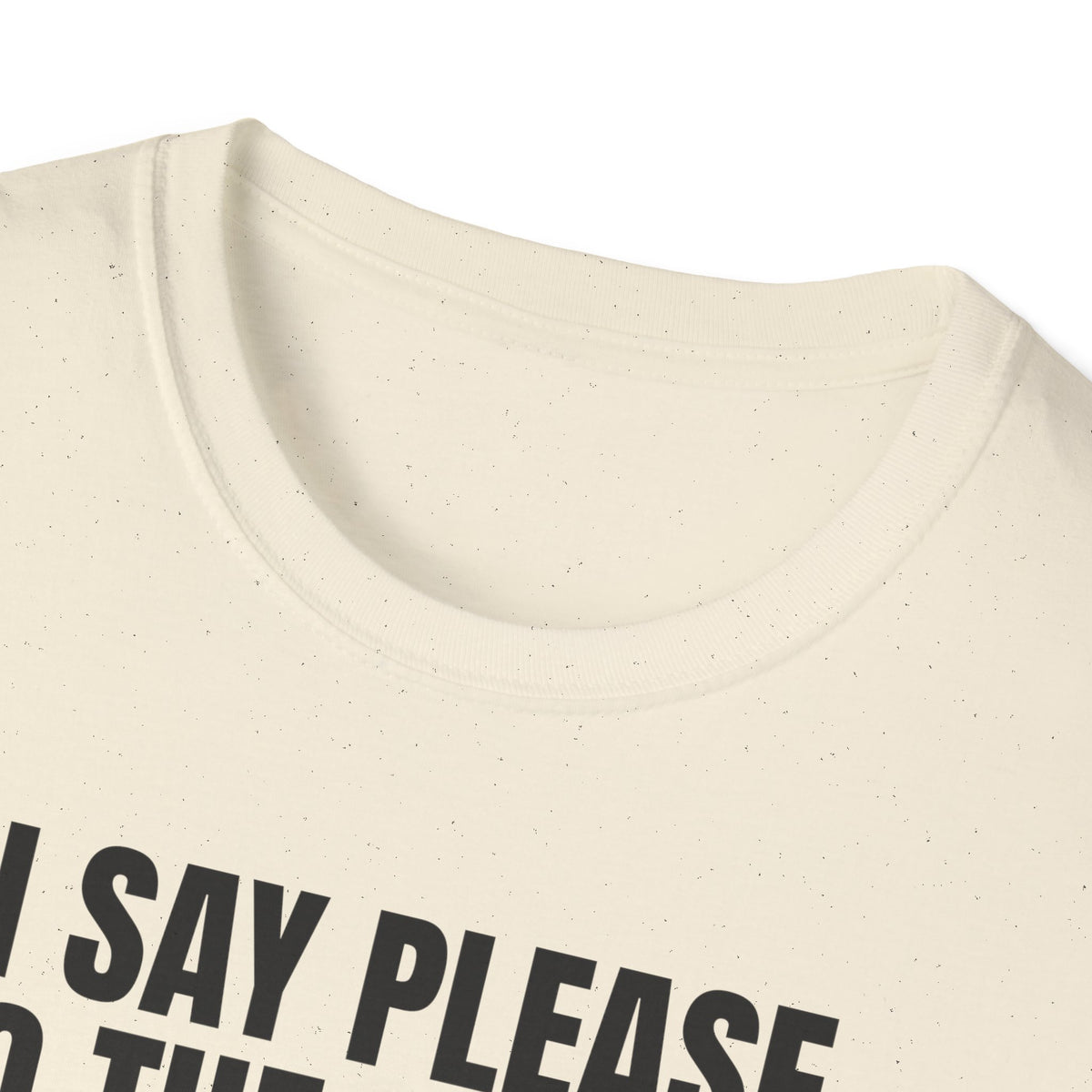 I Say Please To The Robots t-shirt, funny AI gift